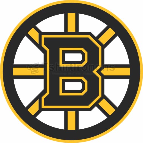 Boston Bruins T-shirts Iron On Transfers N70
